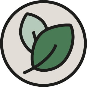 Green leaves icon with beige background